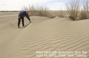 Drought induced sand dunes.