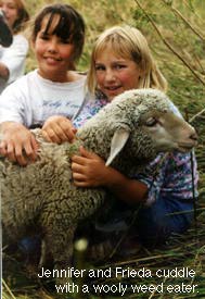 Kids with lamb.