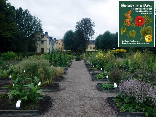 The restored gardens of Carl Linnaeus in Uppsala, Sweden.